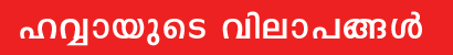 story copy
